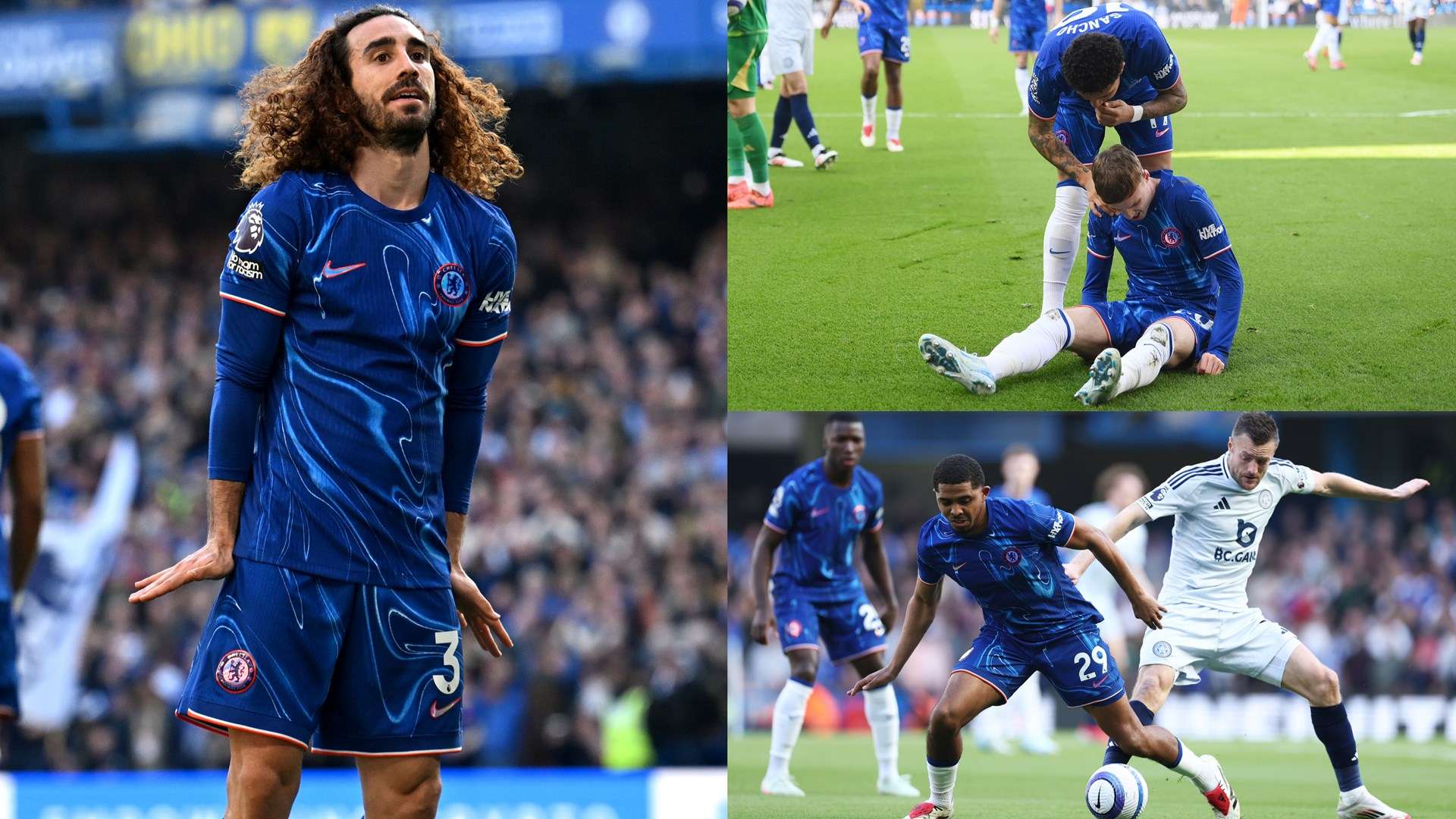 有力支持 有力支持